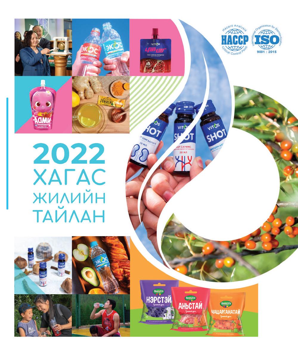 2022 оны хагас жилийн тайлан