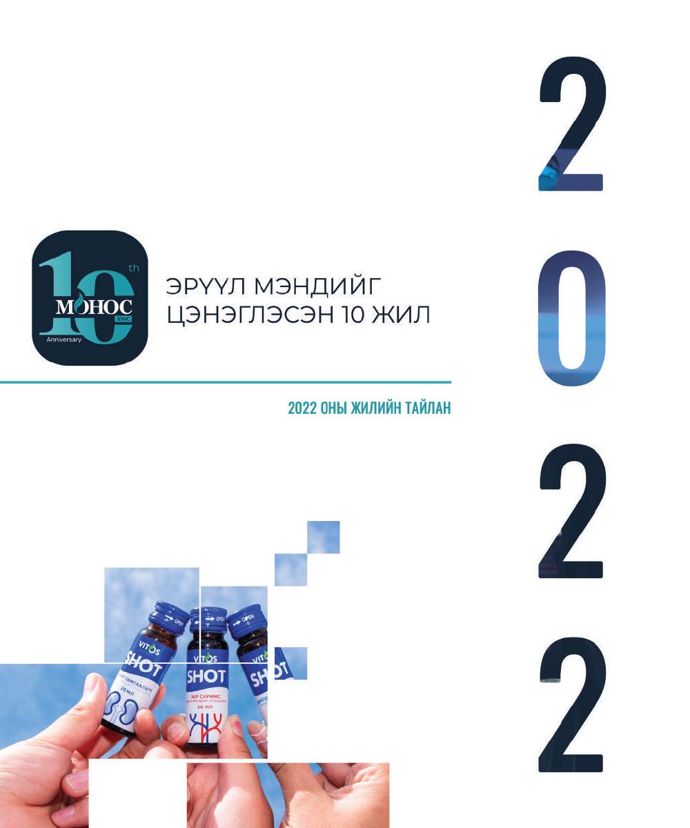 2022 оны жилийн эцсийн тайлан